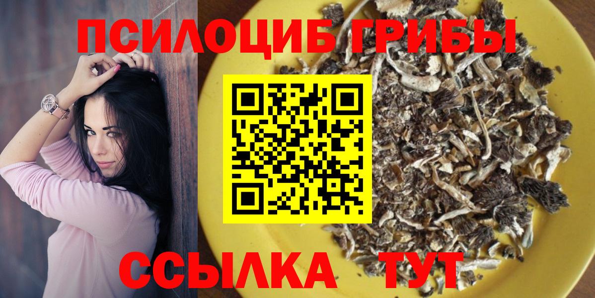 Псилоцибиновые грибы Psilocybe  Вход с VPN  где можно купить   Аксай 
