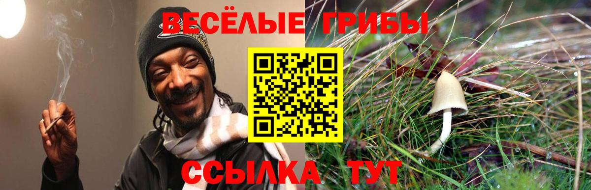 Галлюциногенные грибы Magic Shrooms Аксай